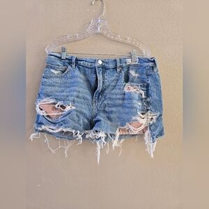 American Egal short